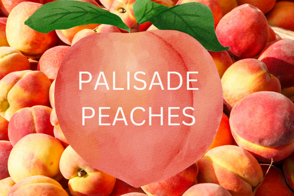 It's Palisade Peaches Time North Metro Woman